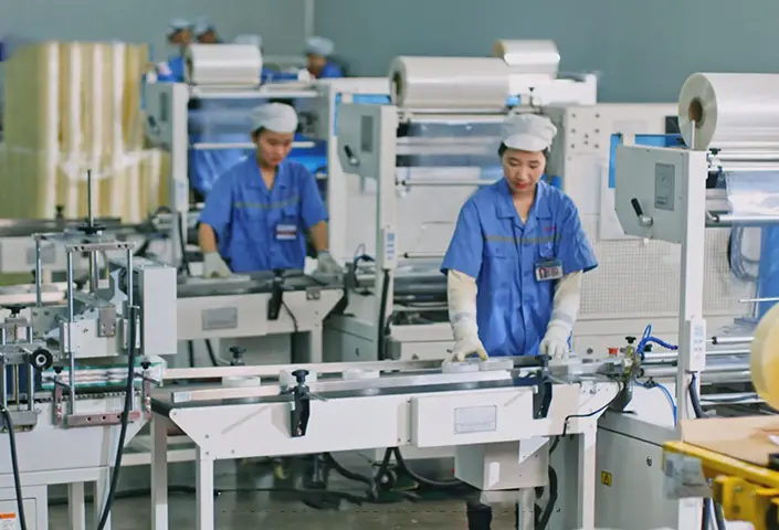 shandong plant production line.webp